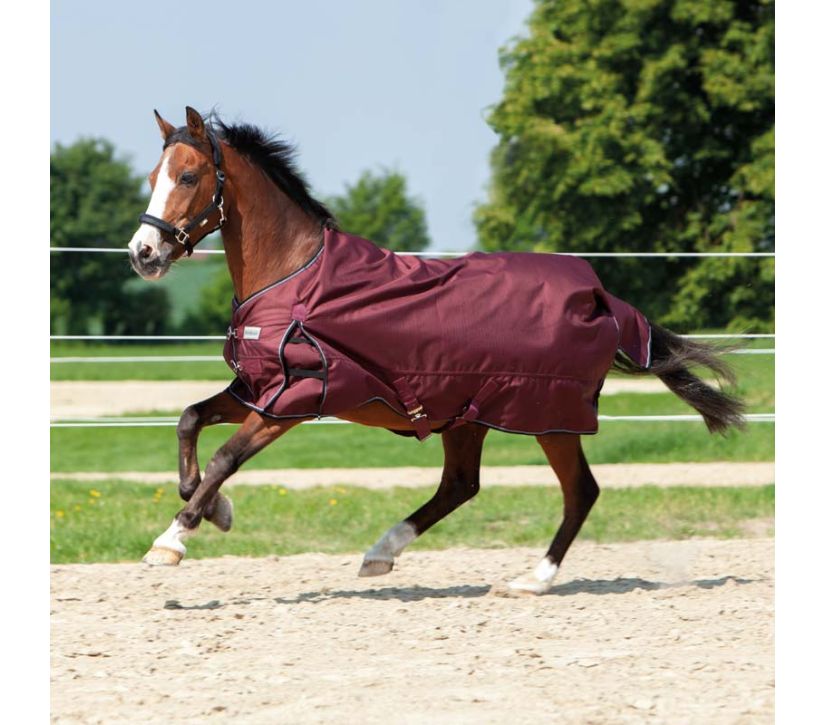 Derka padokowa Alaska IV 100g Kavalkade bordowa - Cavalo